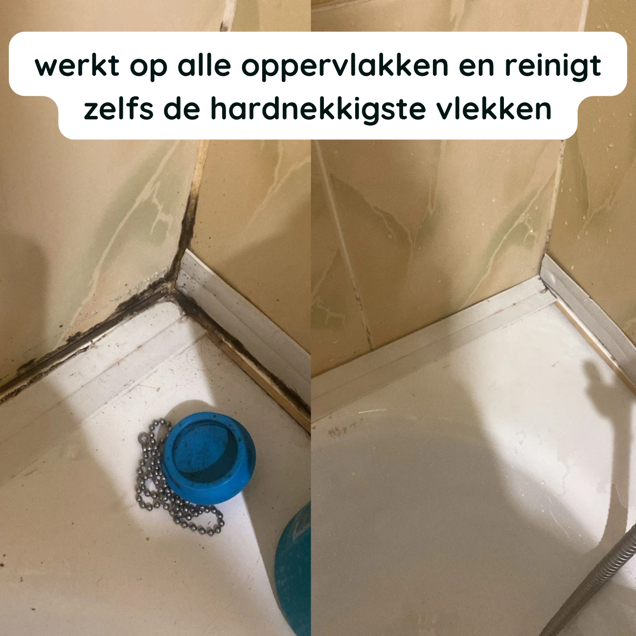 Gleers - Handstoomreiniger