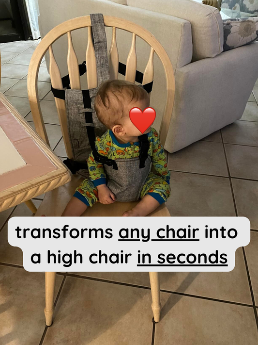 Ovarize - High Chair On-The-Go